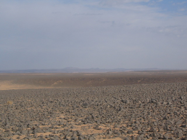 Widok ogólny -- General view