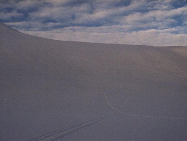 The view towards 78N15E with tracks from Terje and Einar