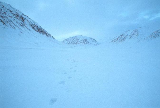 view to the west into Høegdalen