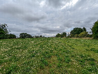 #3: View Looking East