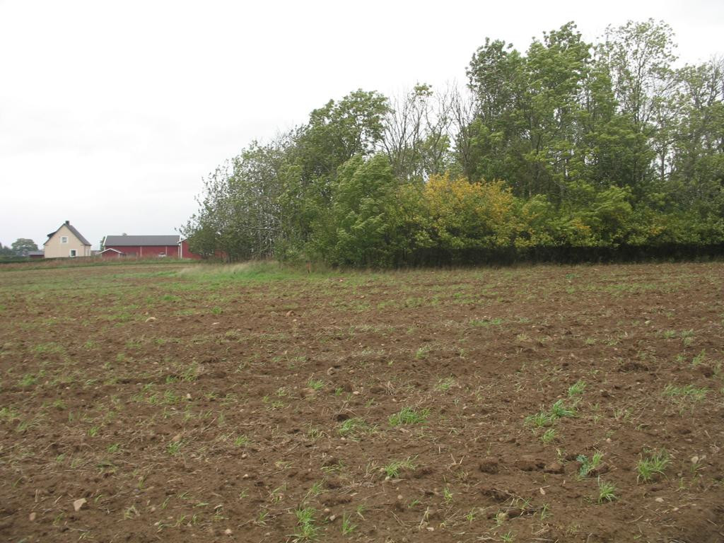 Norden; view north