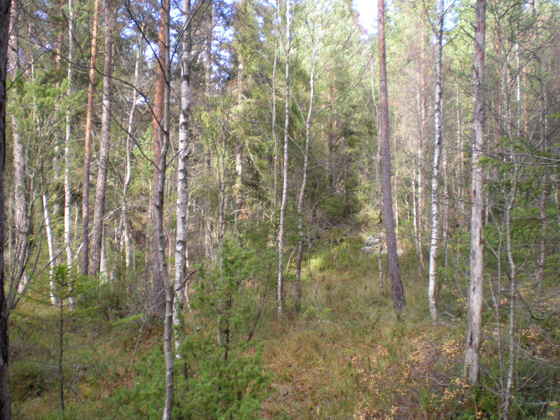 View from the confluence point