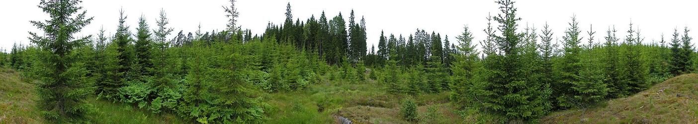 Confluence panorama