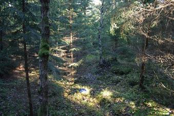 #1: Overview from 5 m south of confluence