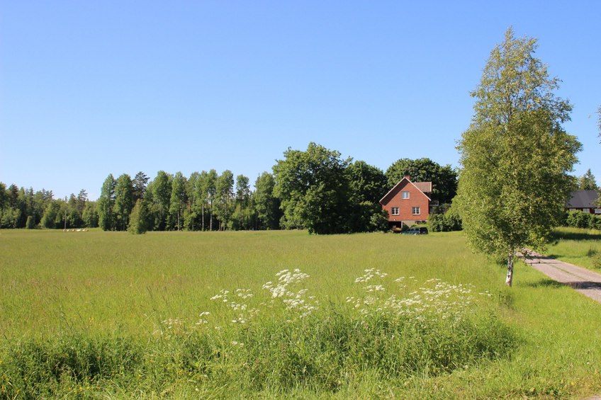 the confluence field from the south