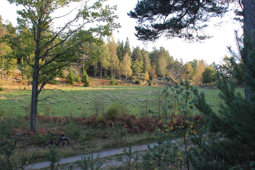 leaving the bike and entrance to the forest, 120 m east of the CP