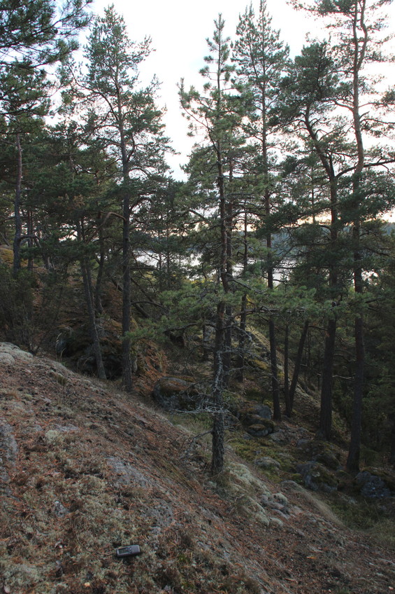 view from above the CP, looking south