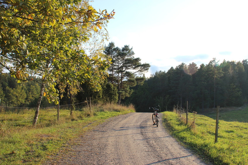 way to the CP, 700 m north