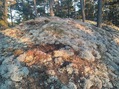 #10: Lichen ground cover near the Confluence Point