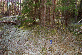 #1: The confluence point, viewed in direction west.