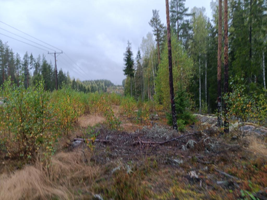 power poles near CP