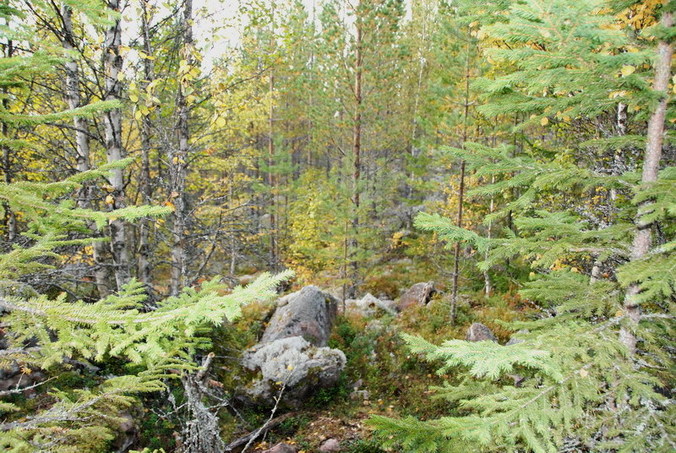 View south / Blick nach Süden