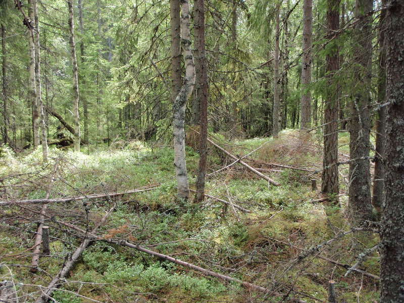 Blick nach Süden