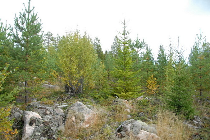 View to the point / Blick zum Confluence Punkt