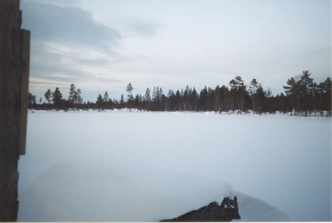 Northern view from the confluence