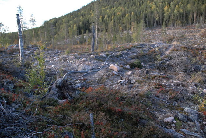 View south / Blick nach Süden