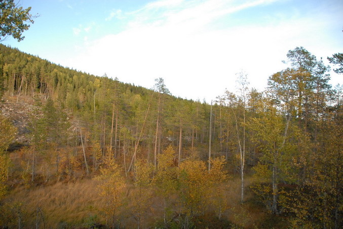 View east / Blick nach Osten