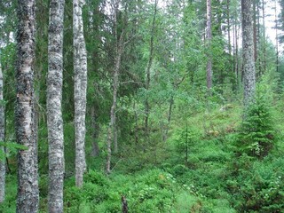 #1: Östliche Sicht / East view