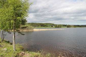 #1: Looking north to the CP, from 260 m south