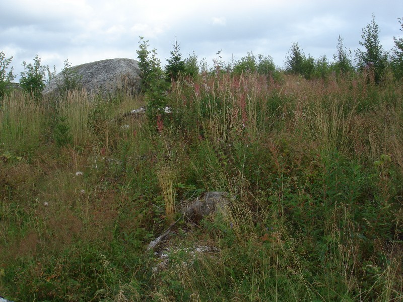 East view & Point Area / Schnittpunktgebiet