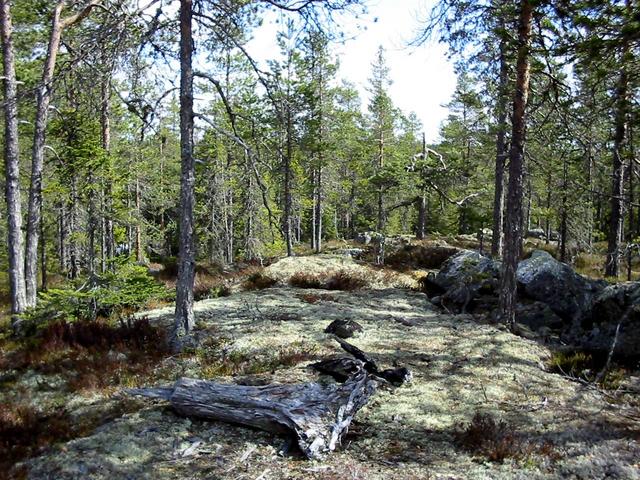 Mountain top 350 m SW of confluence