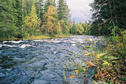 #4: Storbäcken downstream from the confluence