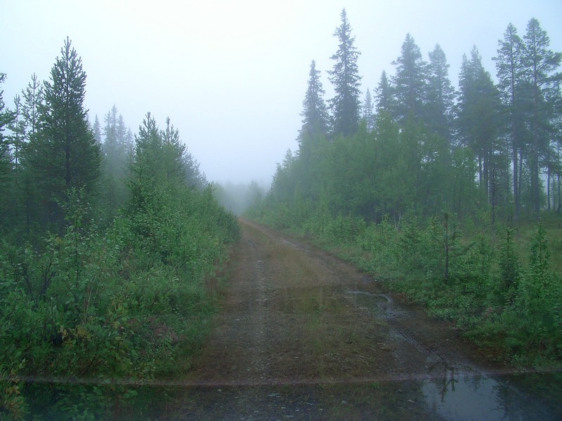 Muddy track