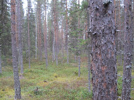 #3: Süden; view south