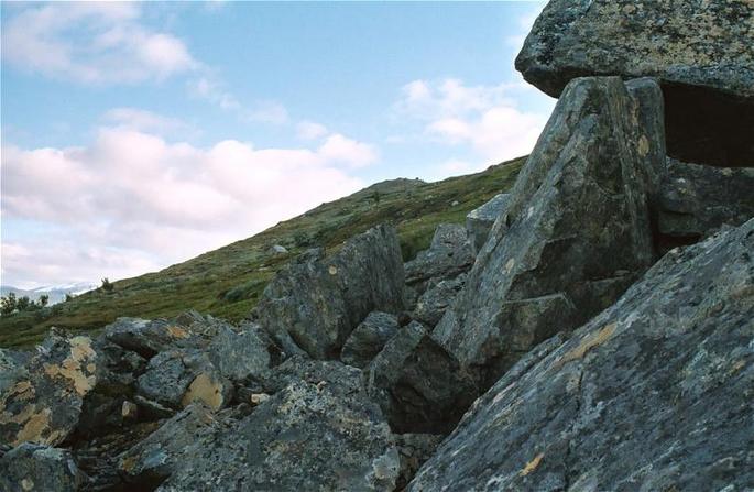 View south from the confluence