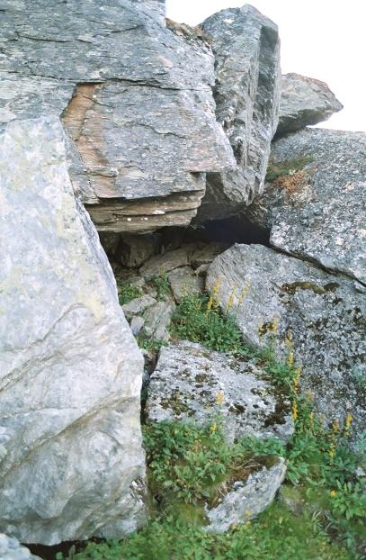 View west from the confluence