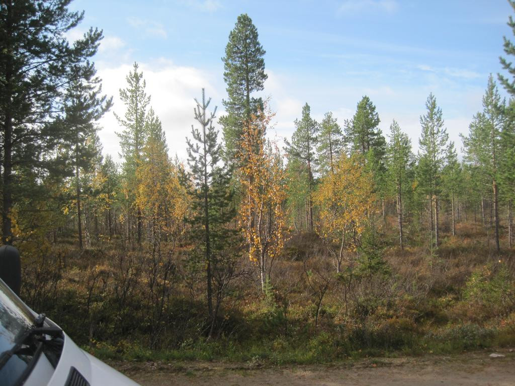 view from parking towards CP