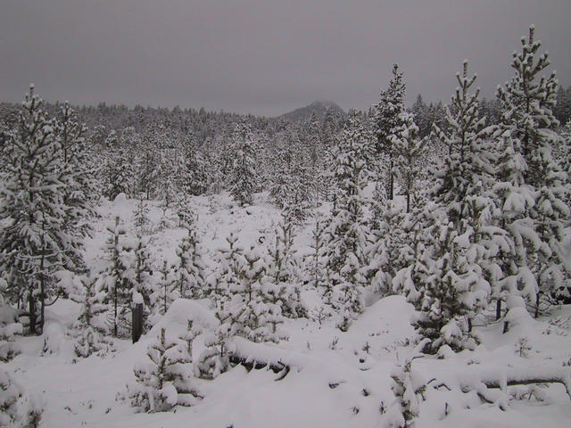 Confluence area, direction northwest, with mountain SUORKE 366 meters above sea level.