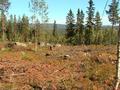 #2: View to the north on the heights of Haradskölen