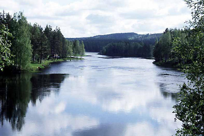 The river from a bridge, some km upstream