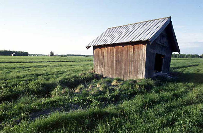 Another shot of the barn