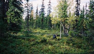 #1: Confluence point, with my backpack at the point.