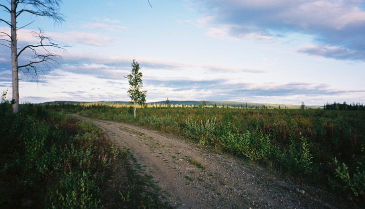 Road leading up to the confluence point.