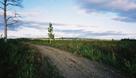 #5: Road leading up to the confluence point.