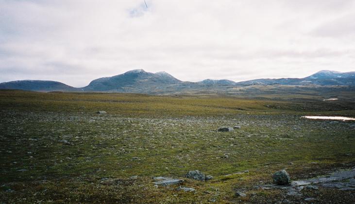 View from the confluence point, looking east.