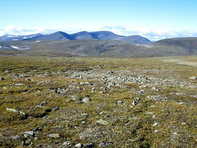 Overview towards NW from 40 m distance