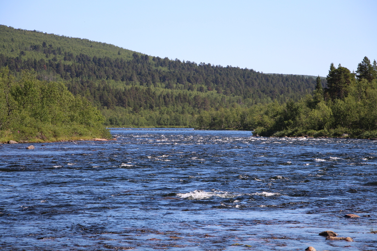 Rautas River