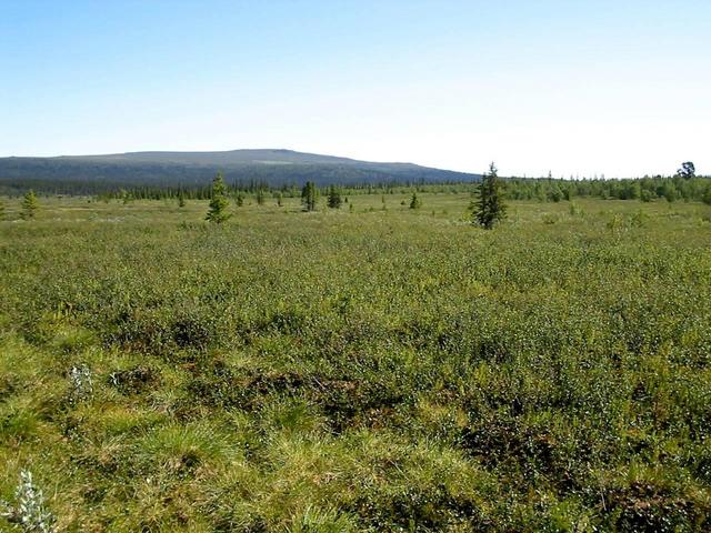 Confluence is just beyond rightmost unforested ridge of Taavinunnanen mountain