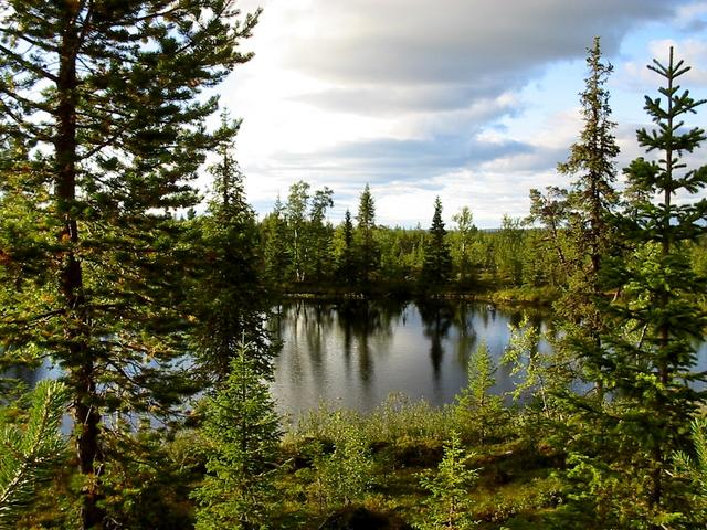 Lake 200 m east of confluence