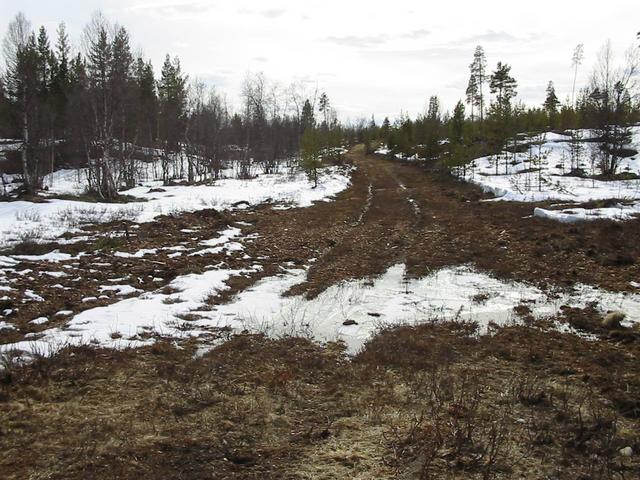 Winter road 10 m south of confluence