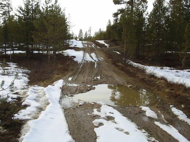 Road towards Merasjoki, 3 km east of confluence