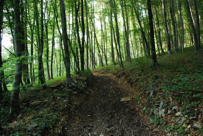 View to the CP from 50 m distance - left side of the way