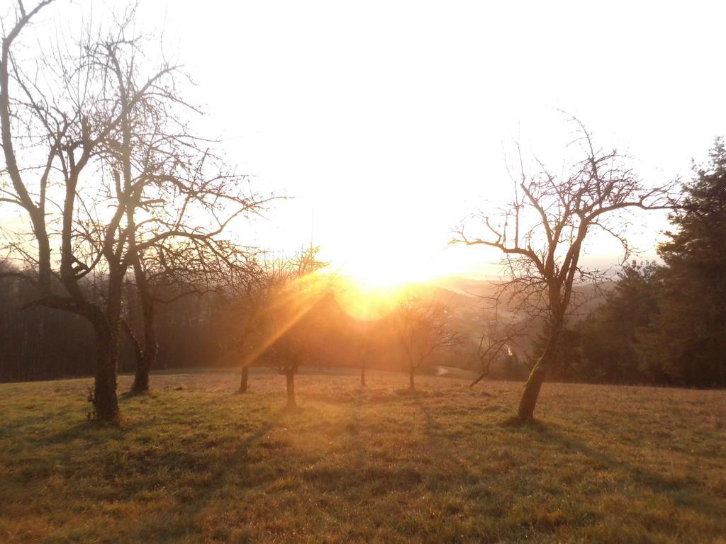 Morgenstimmung - Dawn breaking