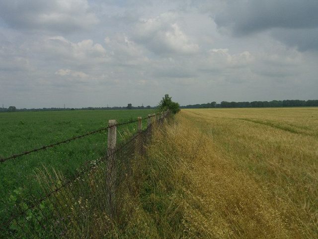 View north / Blick nach Norden