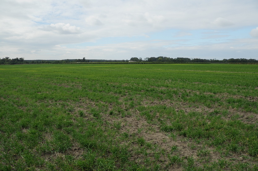 The Confleunce area and looking west with farm at edge of the field