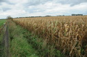 #2: The trail and fence near the Confluence Point